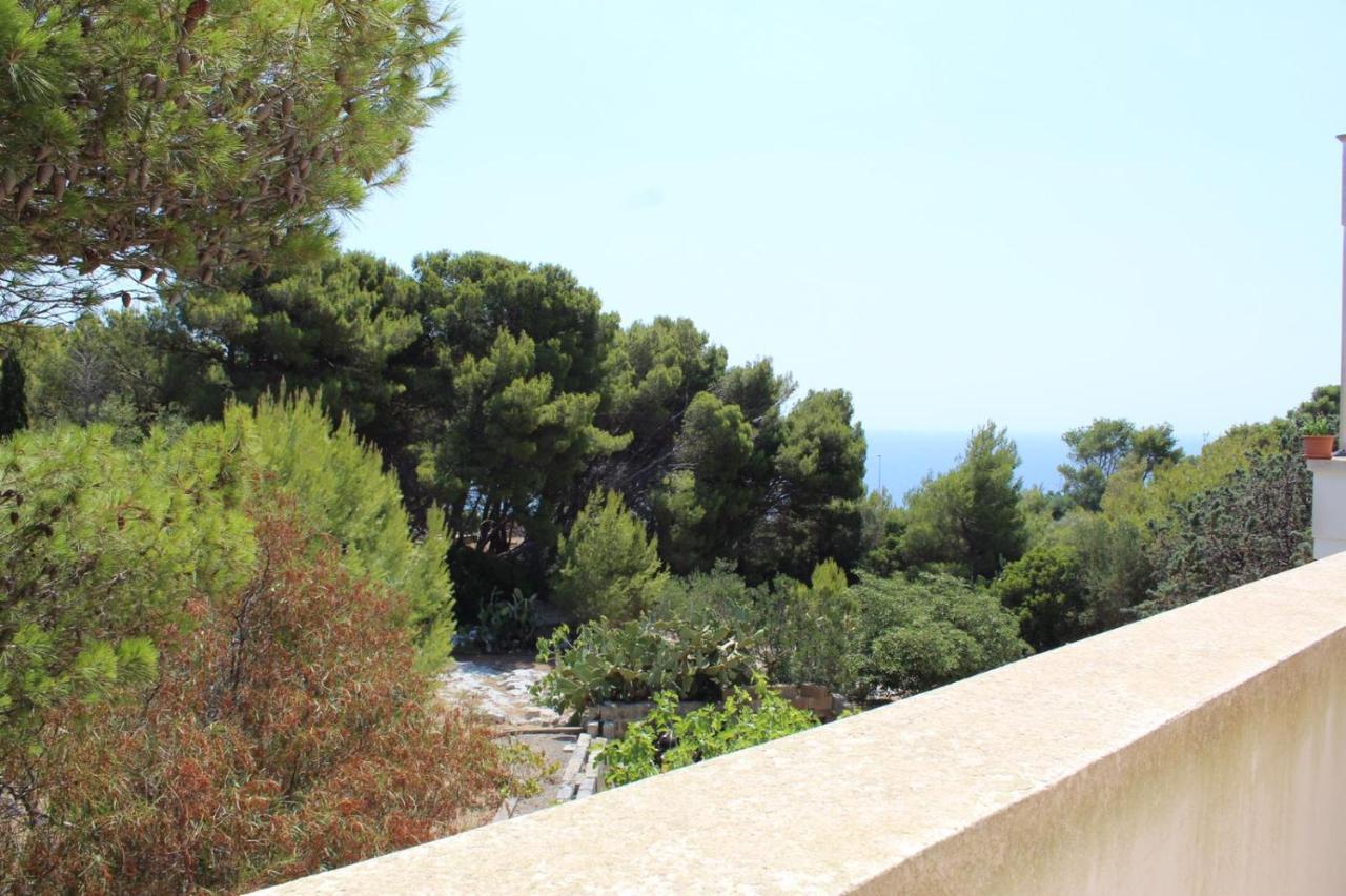 Villa Pedaci B&B Santa Maria di Leuca Eksteriør bilde